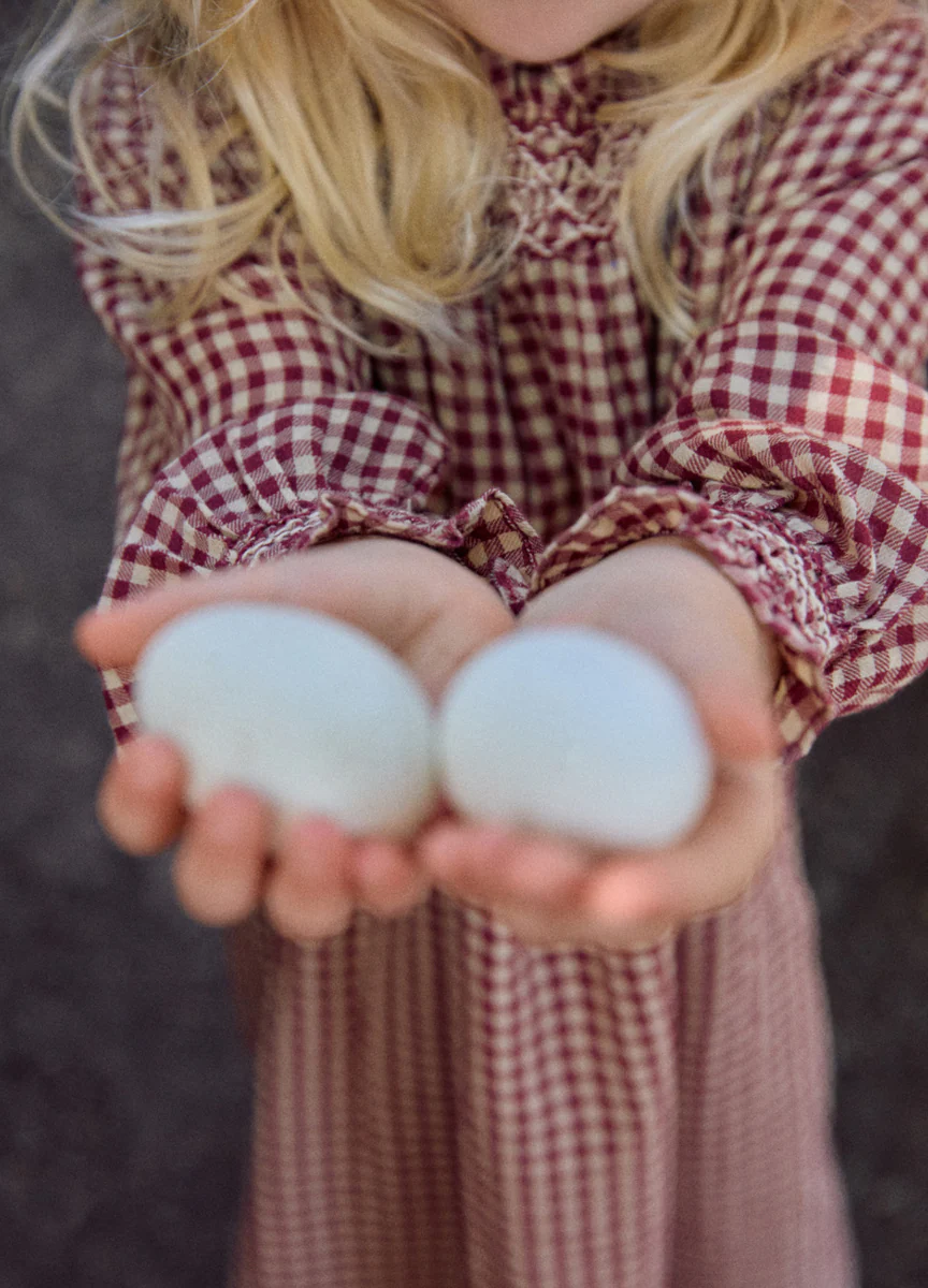 Evie - Rust Gingham - Image 3